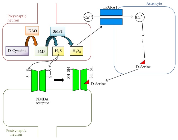 Figure 2