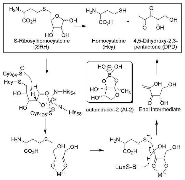 Scheme 1