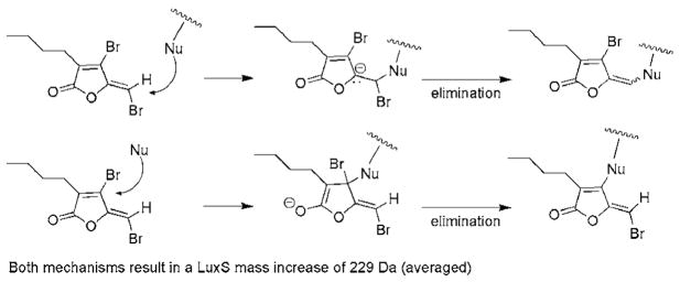 Scheme 2