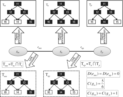 Figure 2.