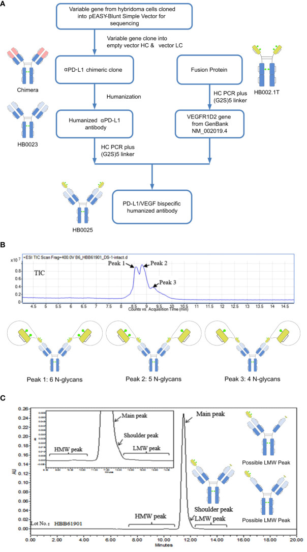 Figure 1