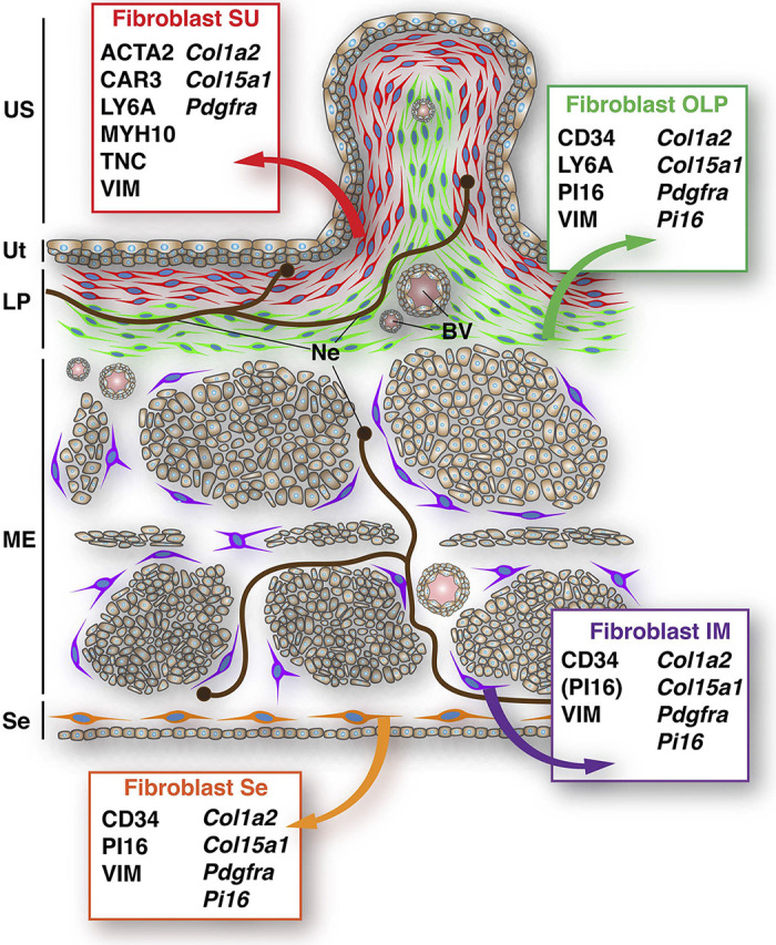 Figure 12.