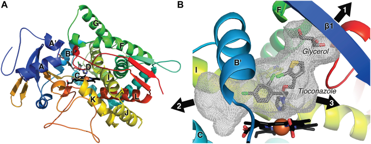 Figure 3