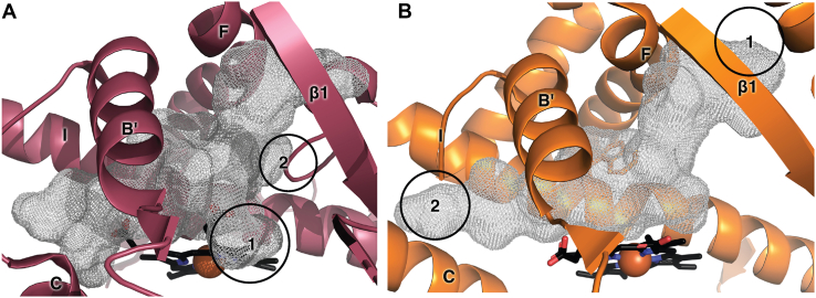 Figure 7