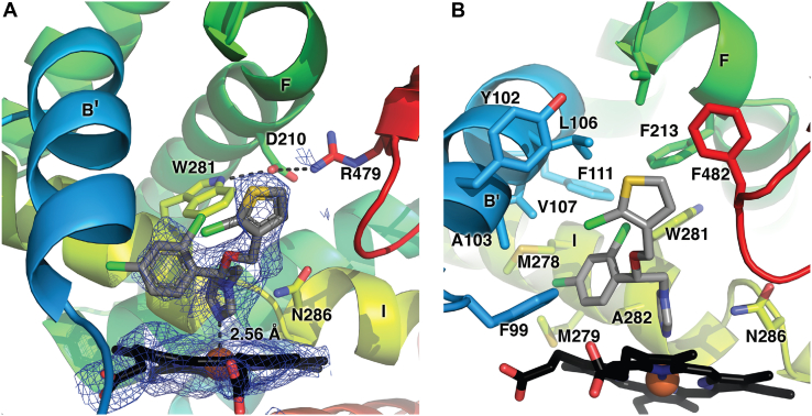 Figure 4