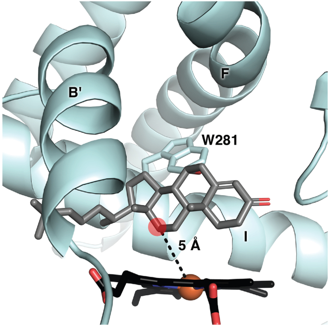 Figure 5