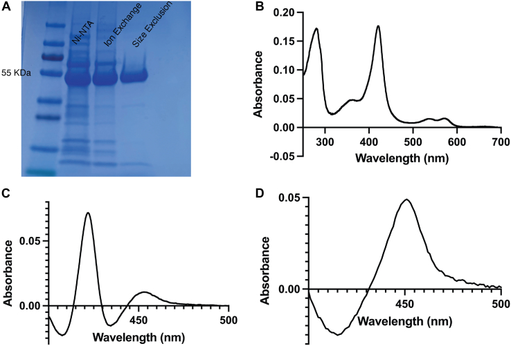 Figure 1