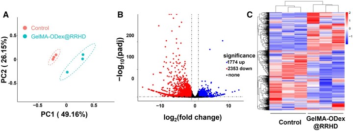 Figure 7.