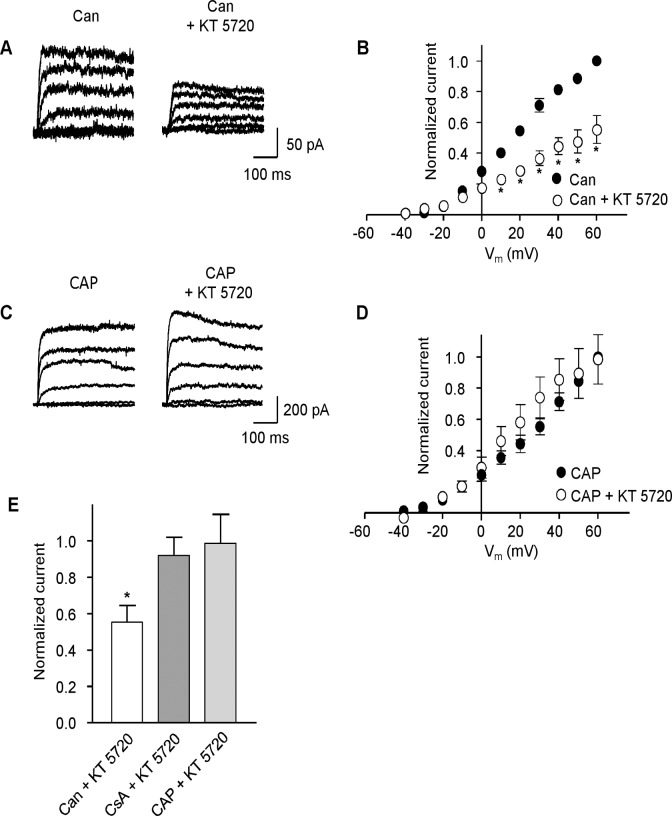 Fig 5