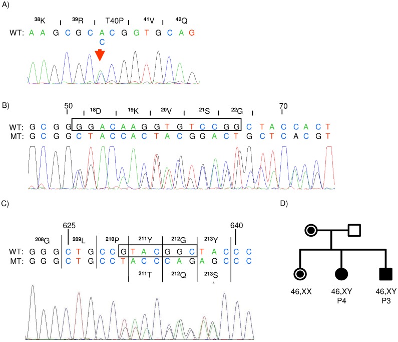 Fig 1