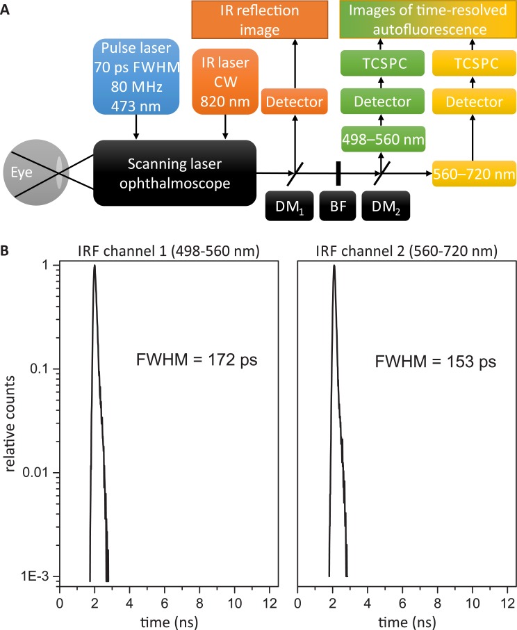 Fig 1