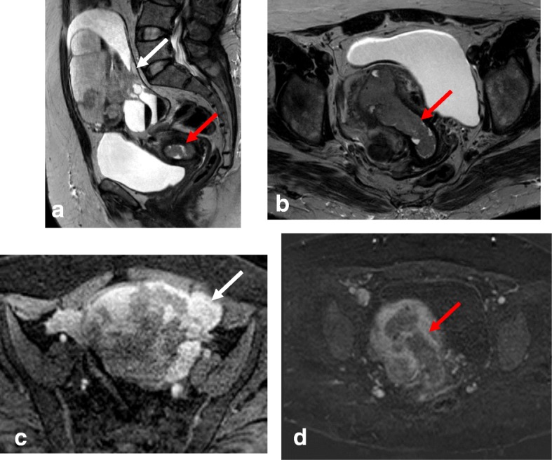 Fig. 8