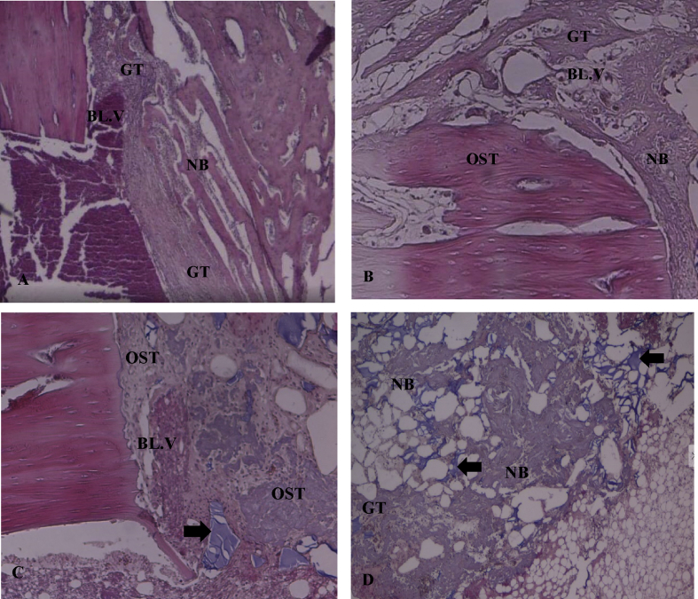 Figure 3