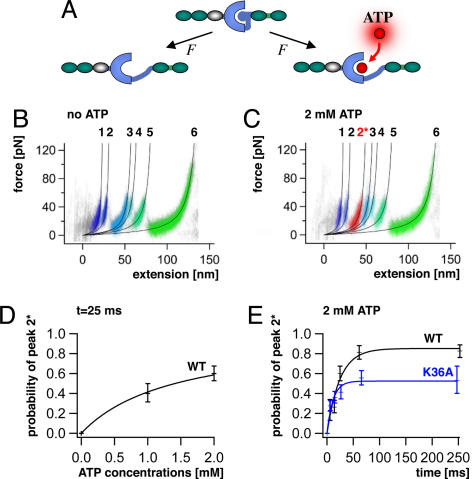 Fig. 2.