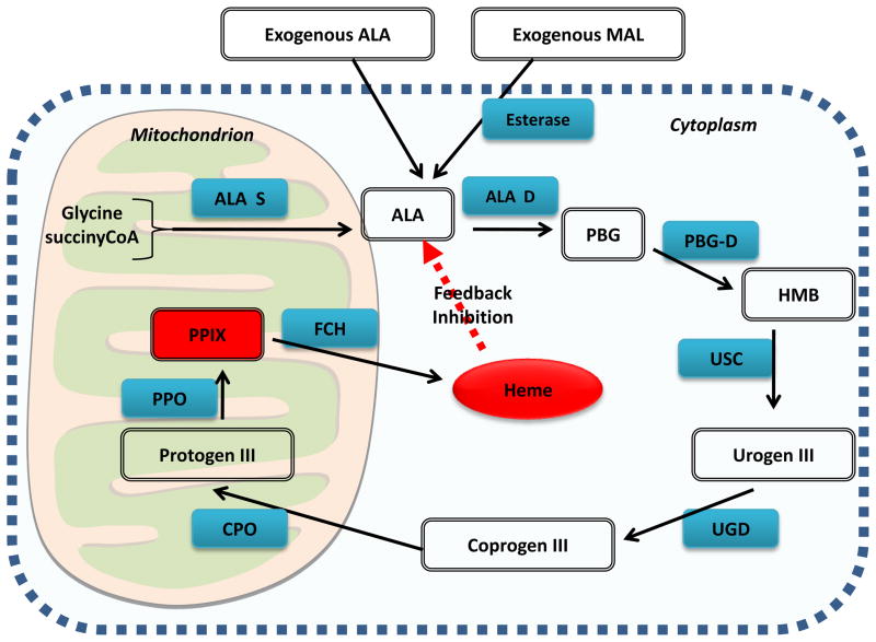 Figure 10