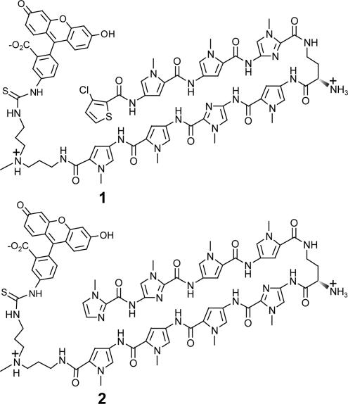 Fig. 2.