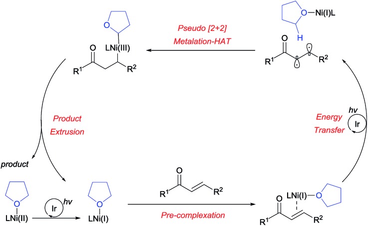 Scheme 7