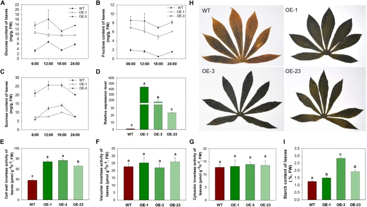 FIGURE 4