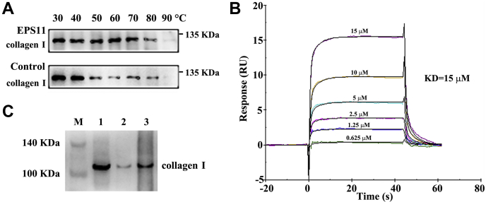 Figure 5