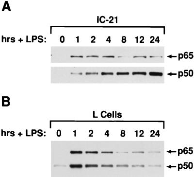 FIG. 6