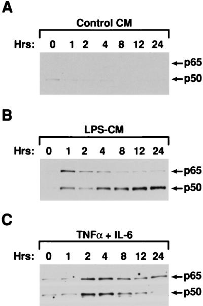 FIG. 5