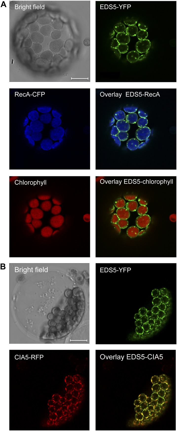 Figure 2.