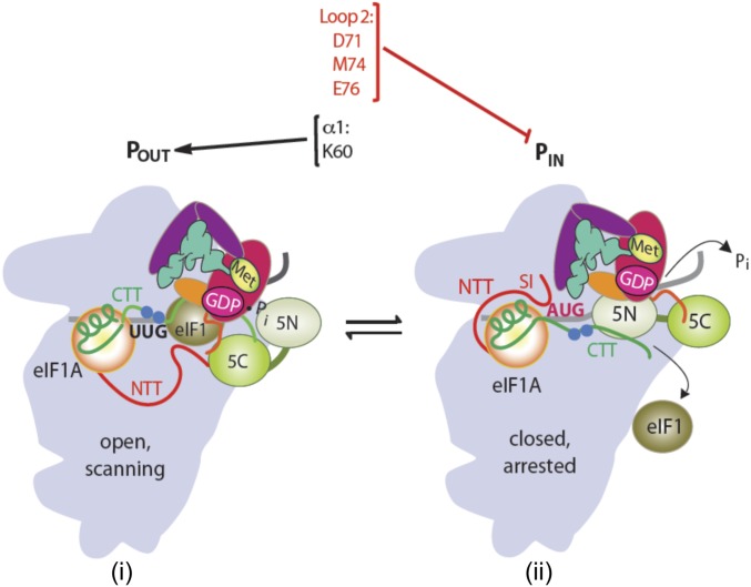 Fig. 6.