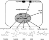 FIG. 6.