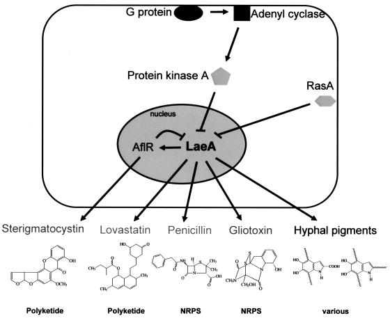 FIG. 6.