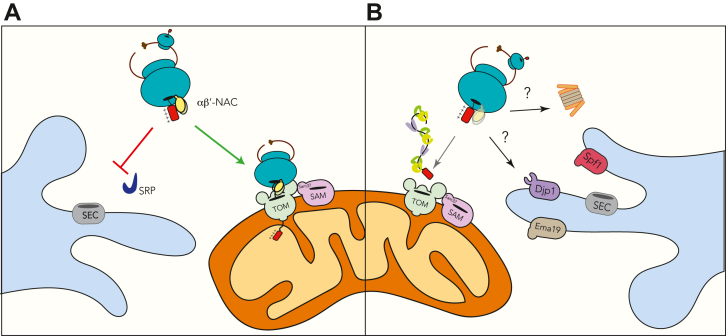 Figure 9