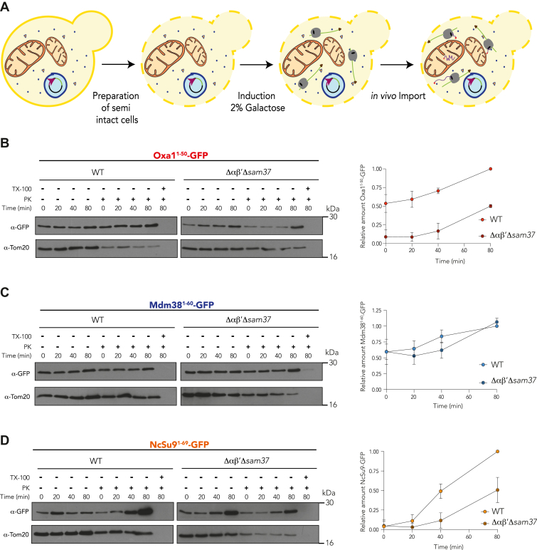 Figure 4