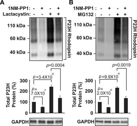 FIGURE 4: