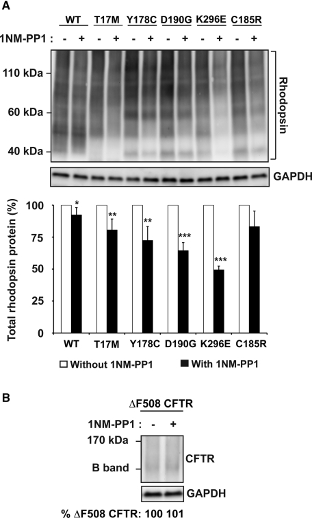 FIGURE 7: