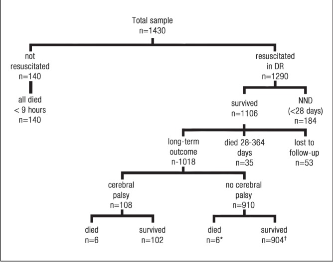 Figure 1)