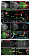 Figure 6.