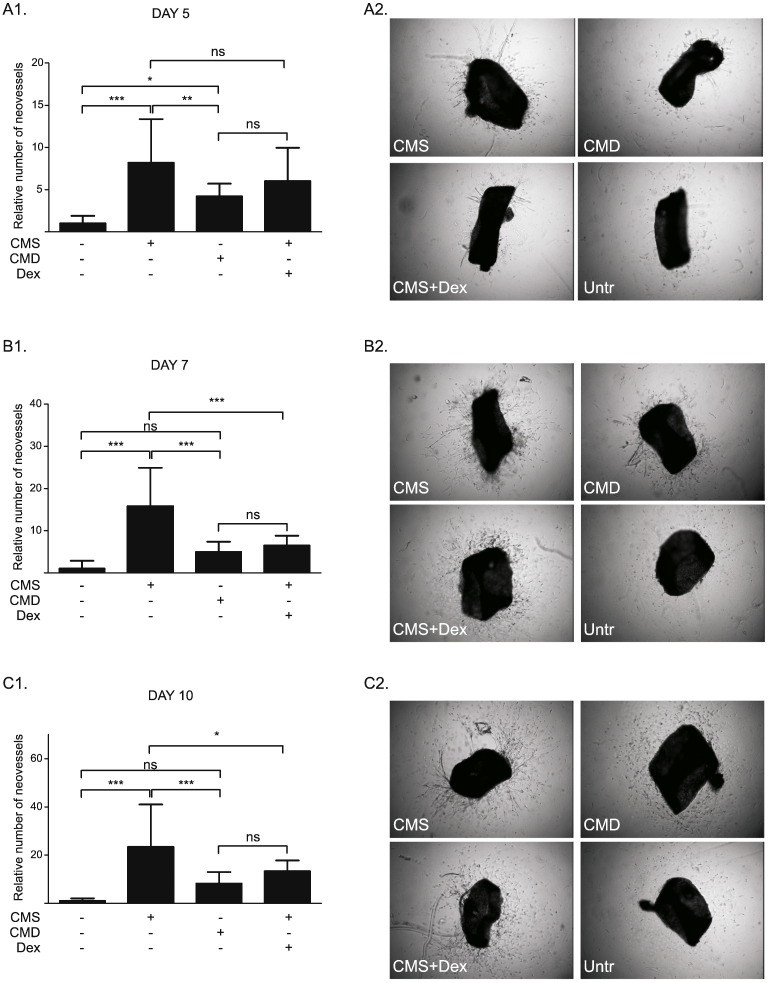 Fig. 7