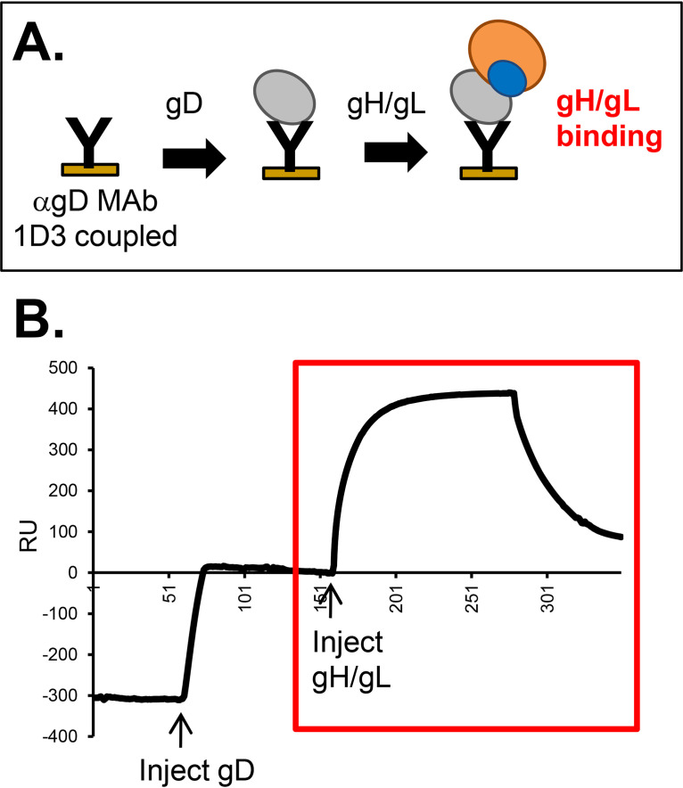 FIG 8