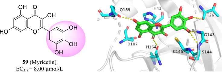 Figure 29