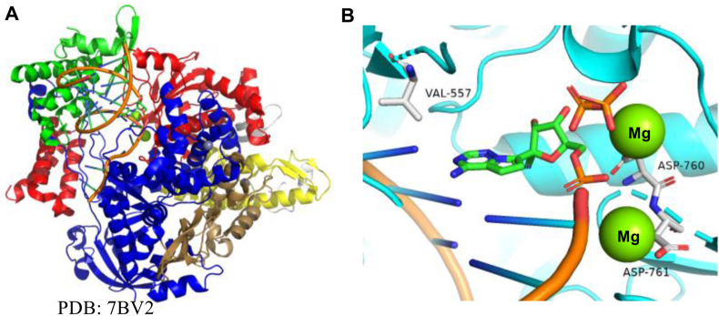 Figure 19