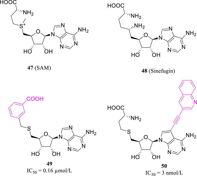 Figure 22