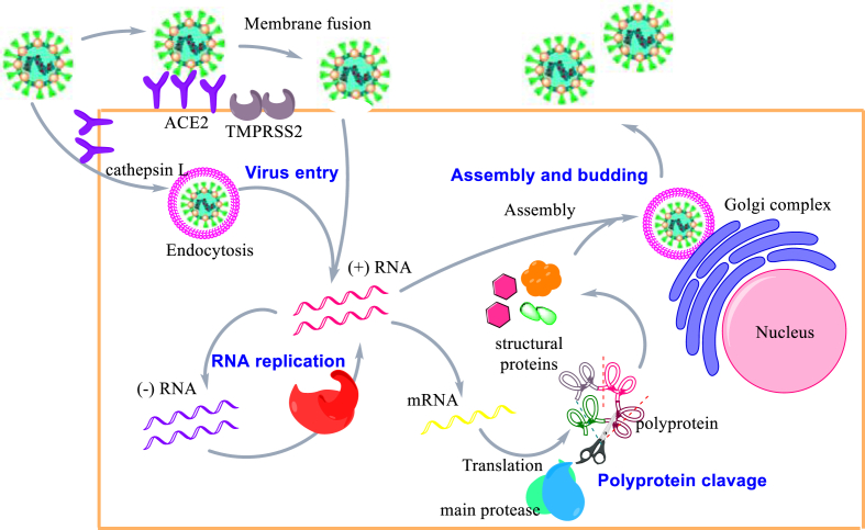 Figure 1