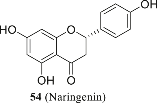 Figure 27