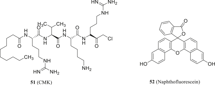 Figure 24