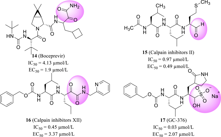 Figure 6