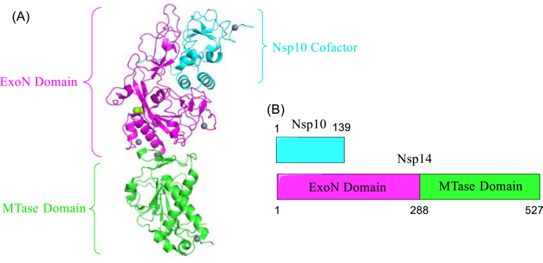 Figure 21