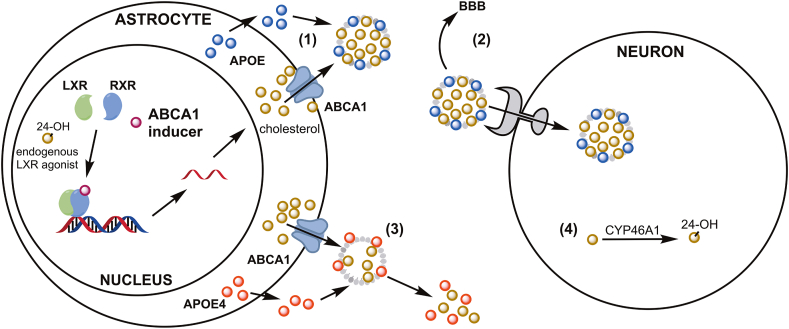 Figure 2