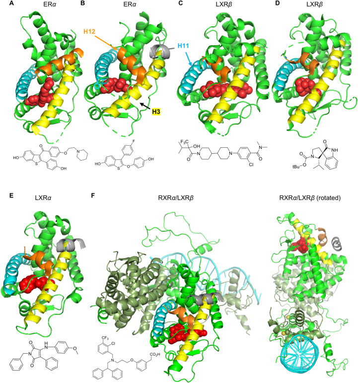 Figure 4