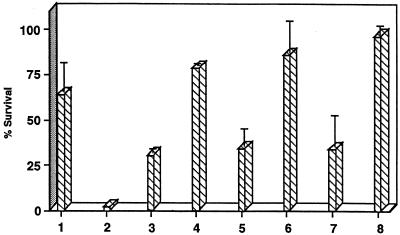 FIG. 6