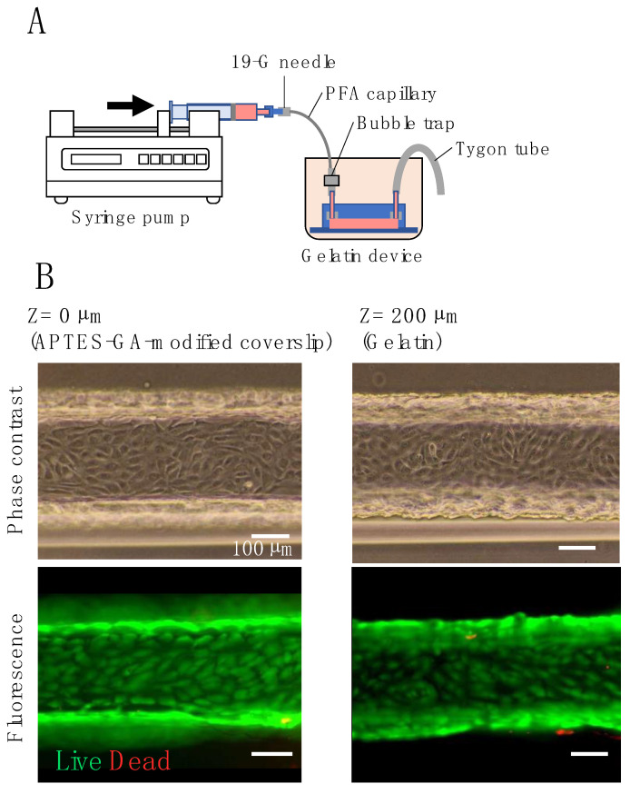 Figure 6