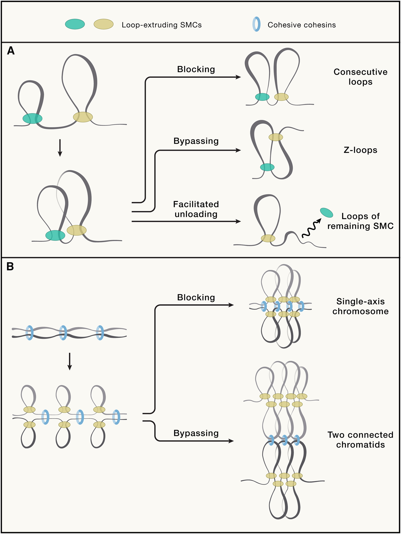 Figure 4: